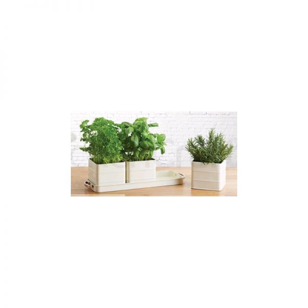 Herb Pots With Water Tray